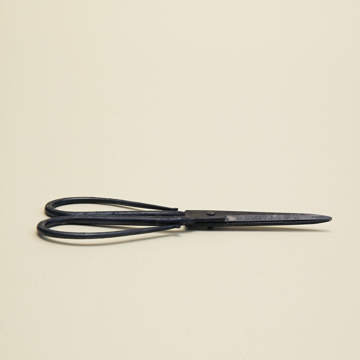 Iron Scissors